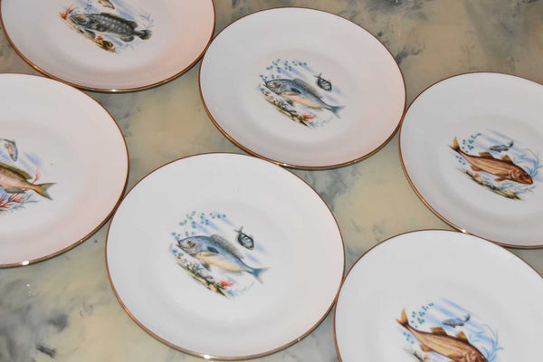 Richard Ginori Porcelain Dinner Plates — Set of 6