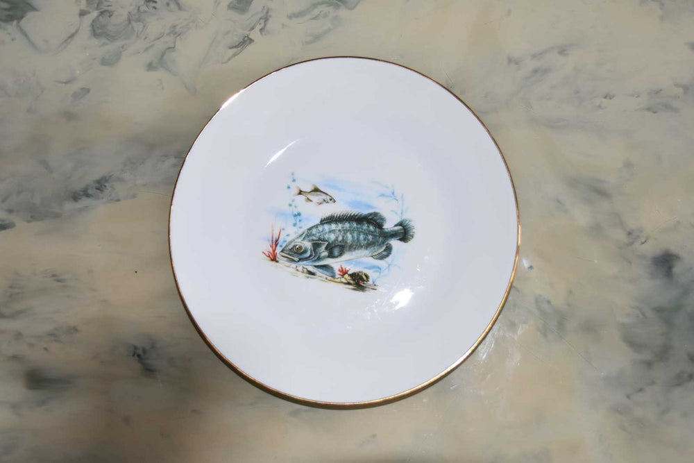 Richard Ginori Porcelain Dinner Plates — Set of 6