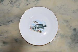 Richard Ginori Porcelain Dinner Plates — Set of 6