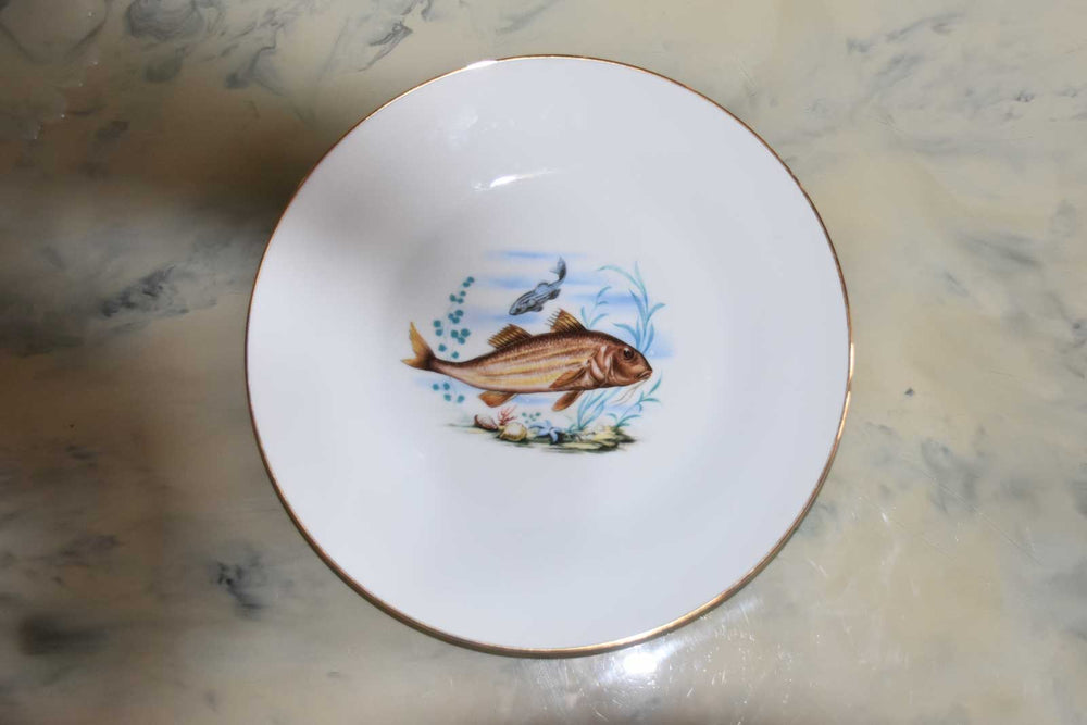 Richard Ginori Porcelain Dinner Plates — Set of 6