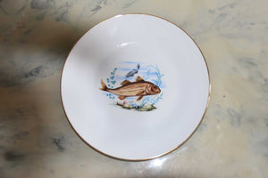 Richard Ginori Porcelain Dinner Plates — Set of 6