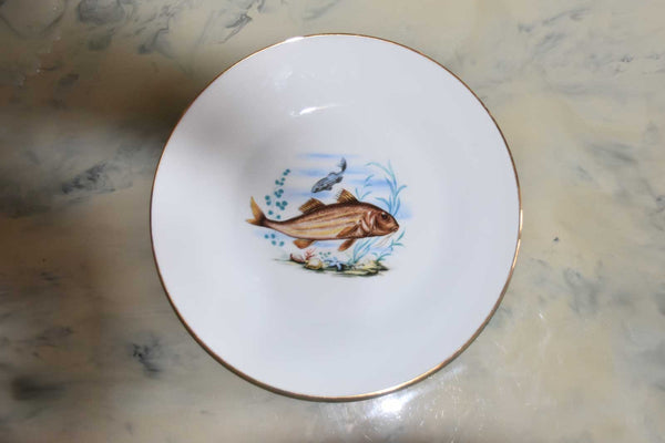 Richard Ginori Porcelain Dinner Plates — Set of 6