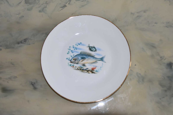 Richard Ginori Porcelain Dinner Plates — Set of 6