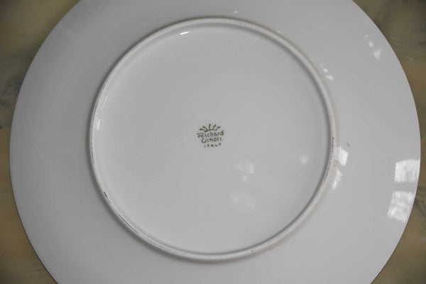 Richard Ginori Porcelain Dinner Plates — Set of 6
