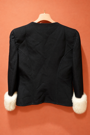 Mila Schön vintage jacket, back hanger view, lightly retouched
