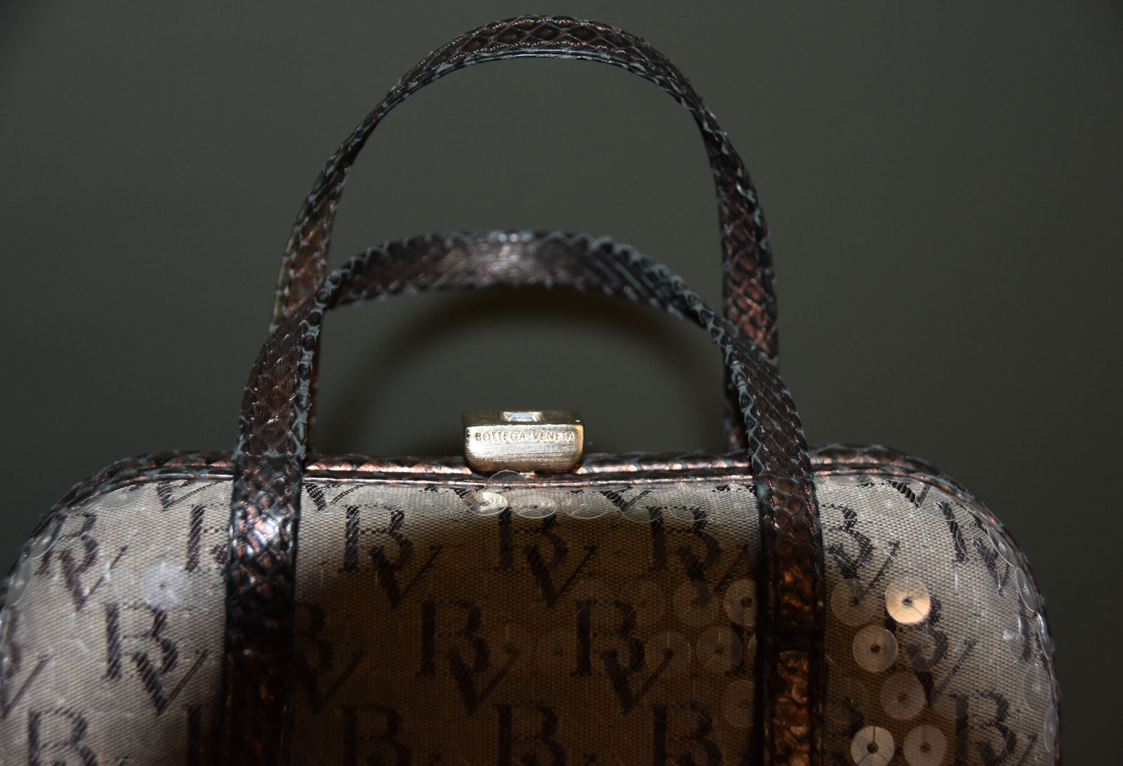 BOTTEGA VENETA VINTAGE PYTHON-TRIMMED MONOGRAM BAG