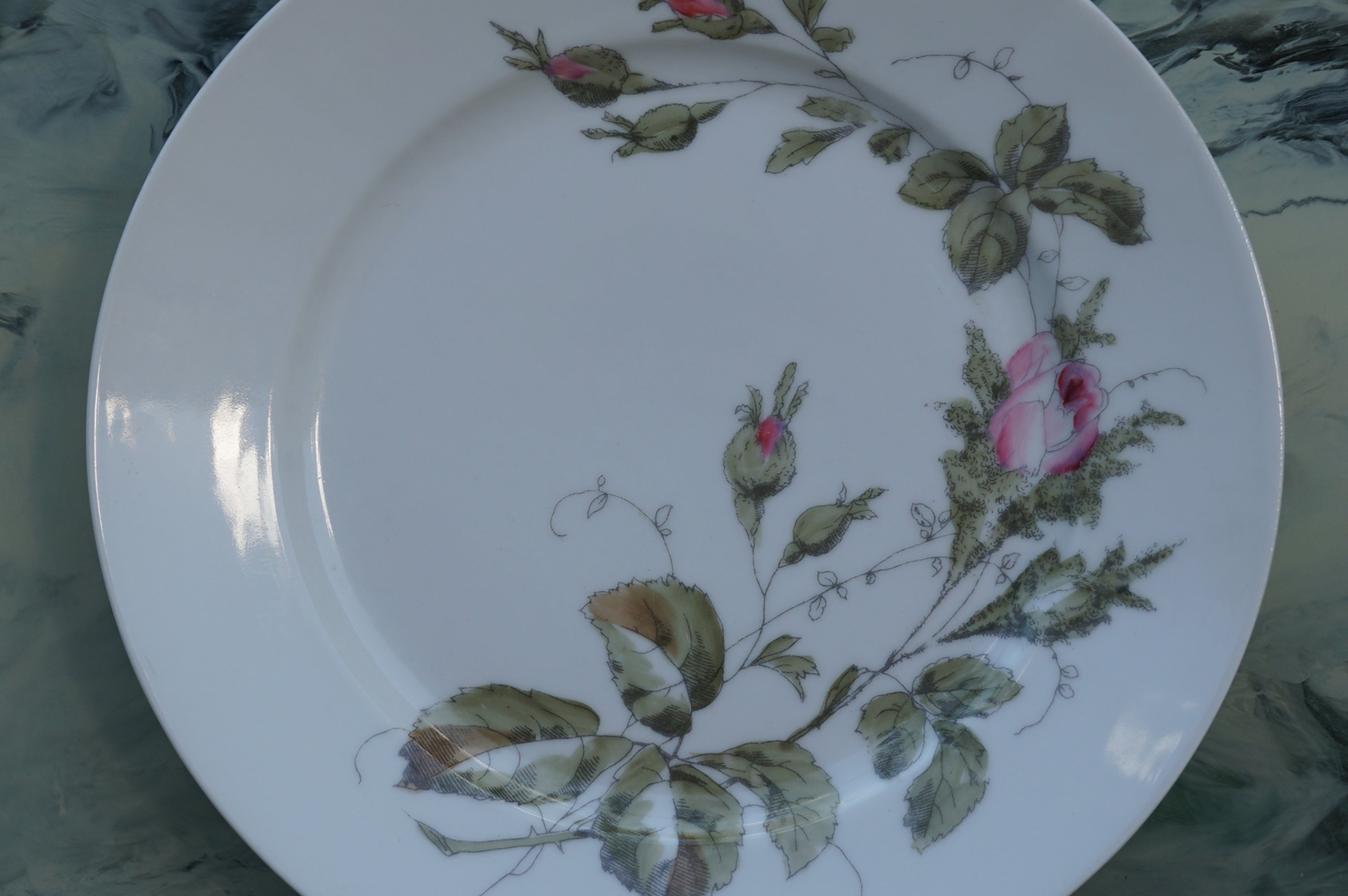 RICHARD GINORI DINNER PLATES