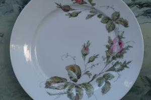 Richard Ginori Vintage Porcelain Dinner Plates — Set of 8