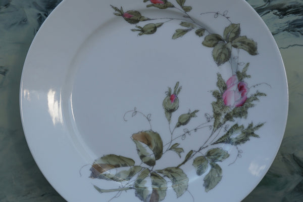 Richard Ginori Vintage Porcelain Dinner Plates — Set of 8