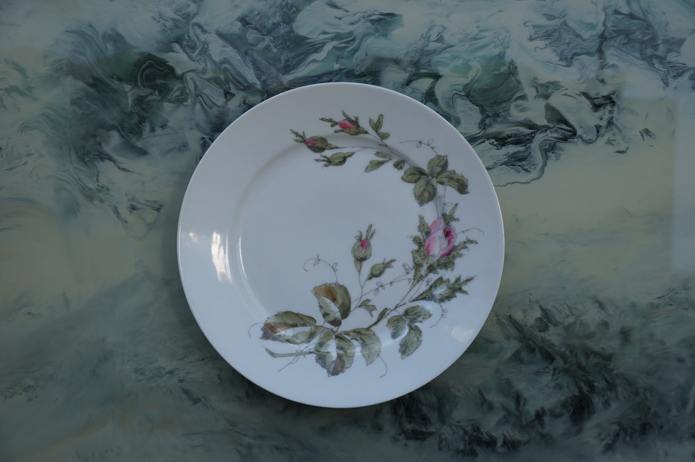 Richard Ginori Vintage Porcelain Dinner Plates — Set of 8