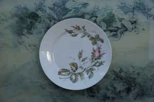 Richard Ginori Vintage Porcelain Dinner Plates — Set of 8