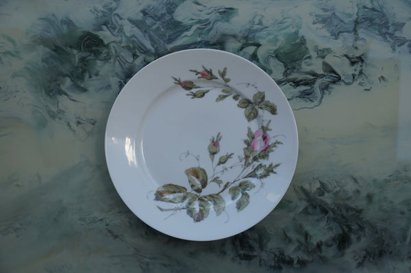 Richard Ginori Vintage Porcelain Dinner Plates — Set of 8